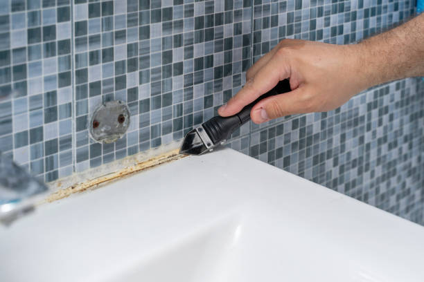 Best Mold Removal Company Near Me  in Hutchinson Island South, FL