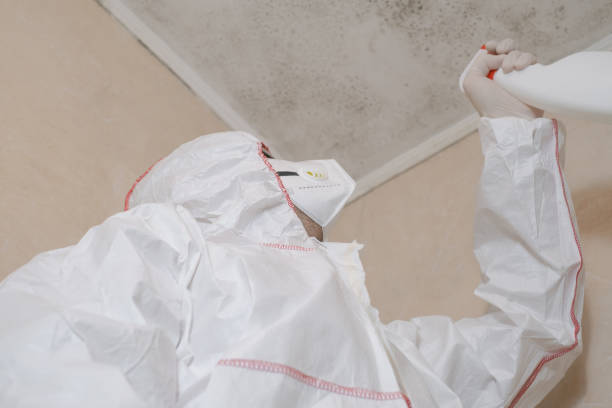 Water Damage Restoration in Hutchinson Island South, FL